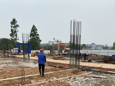 富湾白蚁防治站:建房地基如何防白蚁