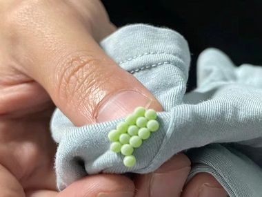 荷城消杀四害机构臭虫的危害防治措施